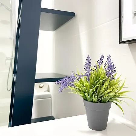 Апартаменты Urban Loft Anzuelo