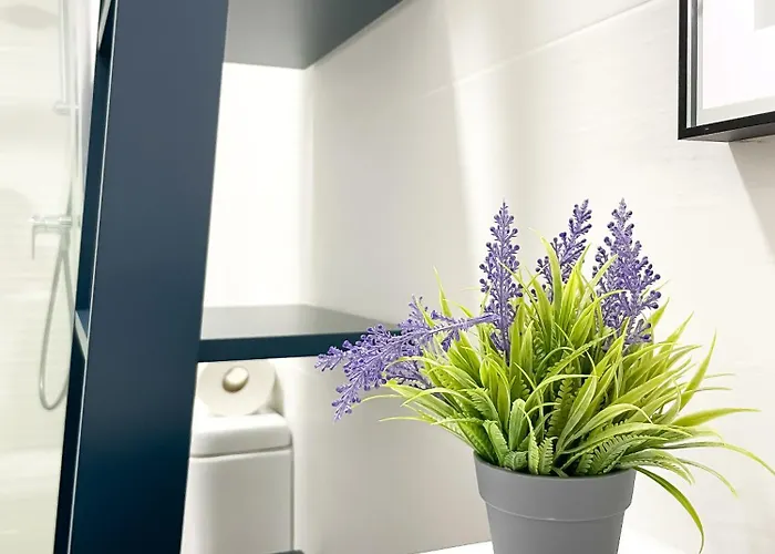 Daire Urban Loft Anzuelo